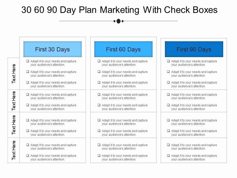 20 90 Day Planner Template