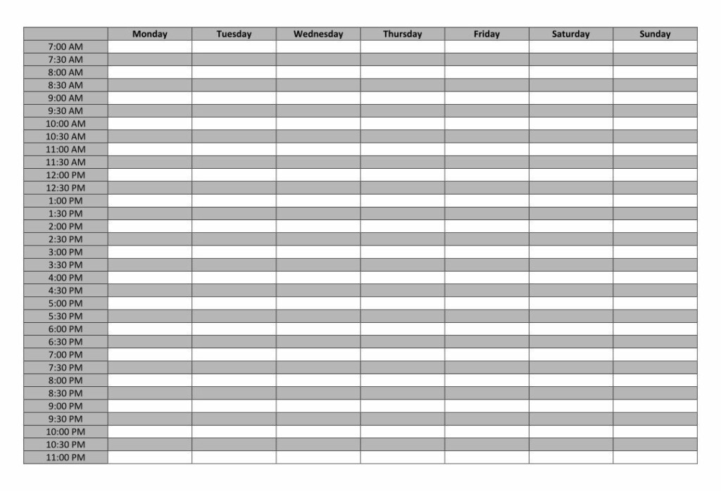 24 Hour Daily Planner Template Weekly Planner Template Weekly 
