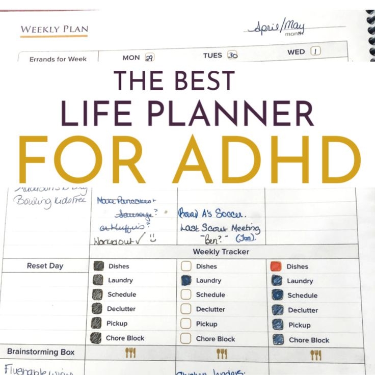 Adhd Planner Printable Free Tiktok Printable Word Searches