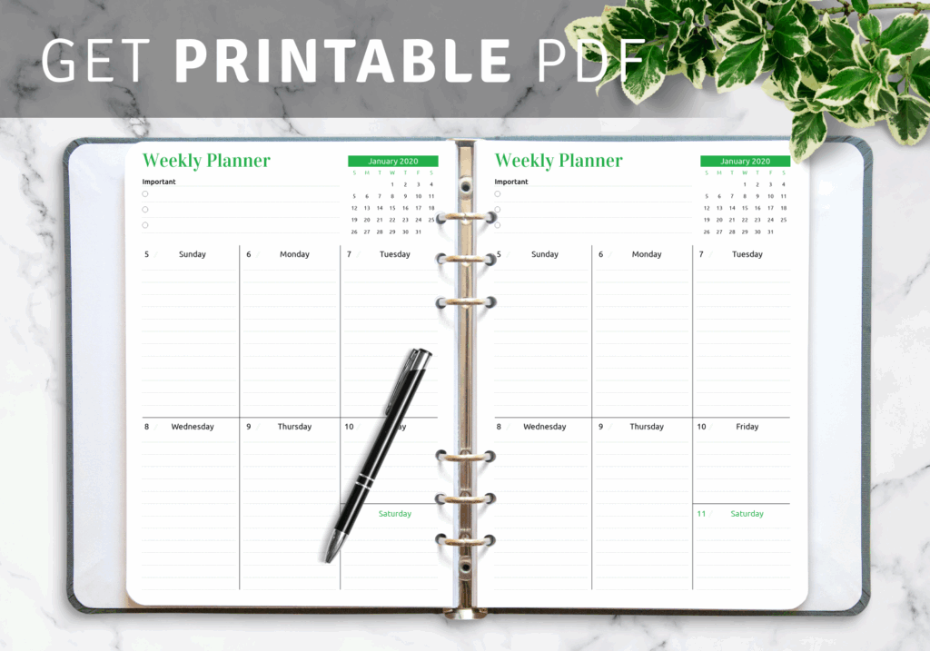 At A Glance Daily Planner 2025 Clio Melody