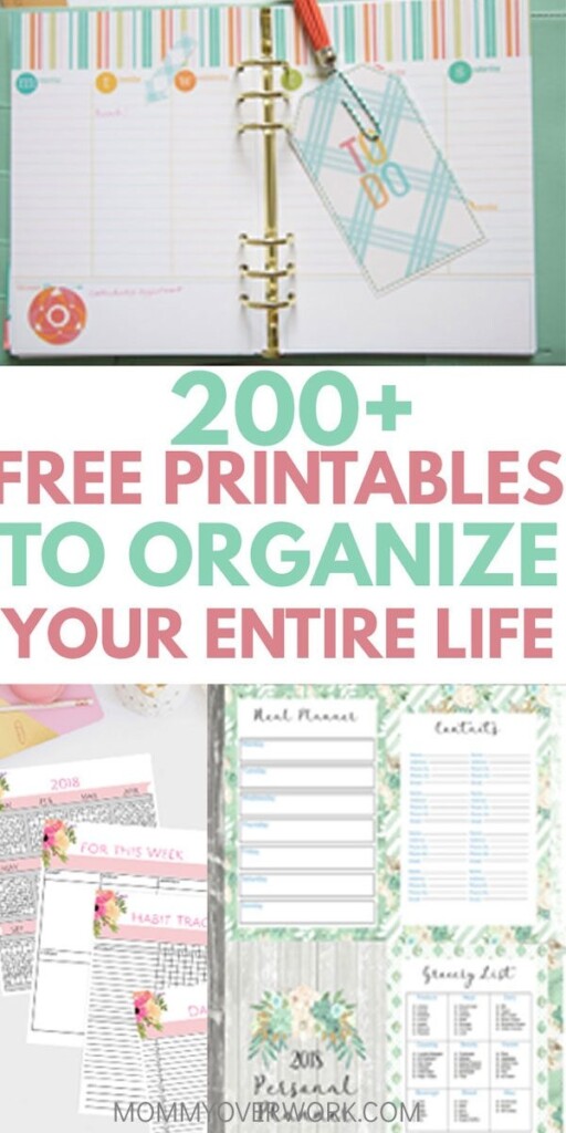 Best Free Planner Printables 2025 To ORGANIZE YOUR ENTIRE LIFE