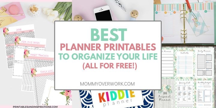 Best Free Planner Printables 2025 To ORGANIZE YOUR ENTIRE LIFE