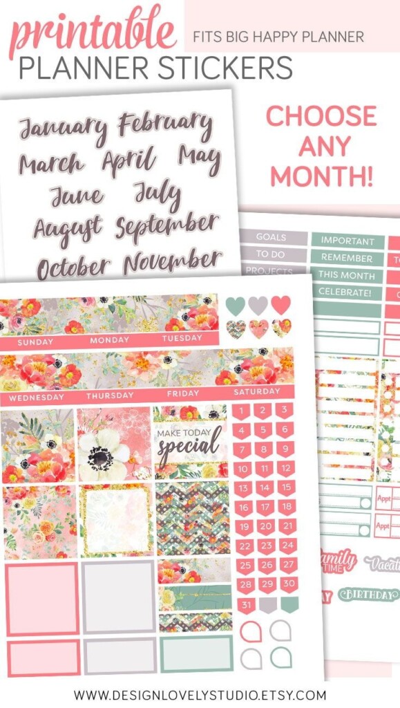 Big Happy Planner PRINTABLE Stickers Monthly Planner Stickers Kit 