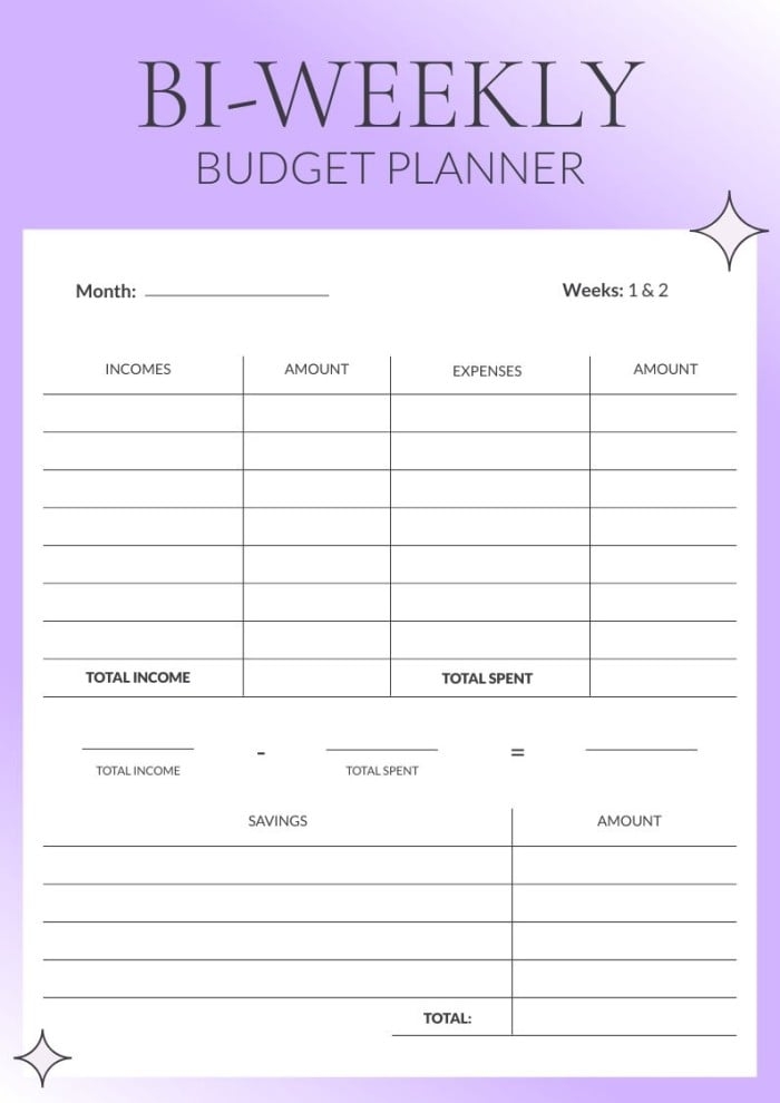 Customize And Download This Aesthetic Bi weekly Budget Planner