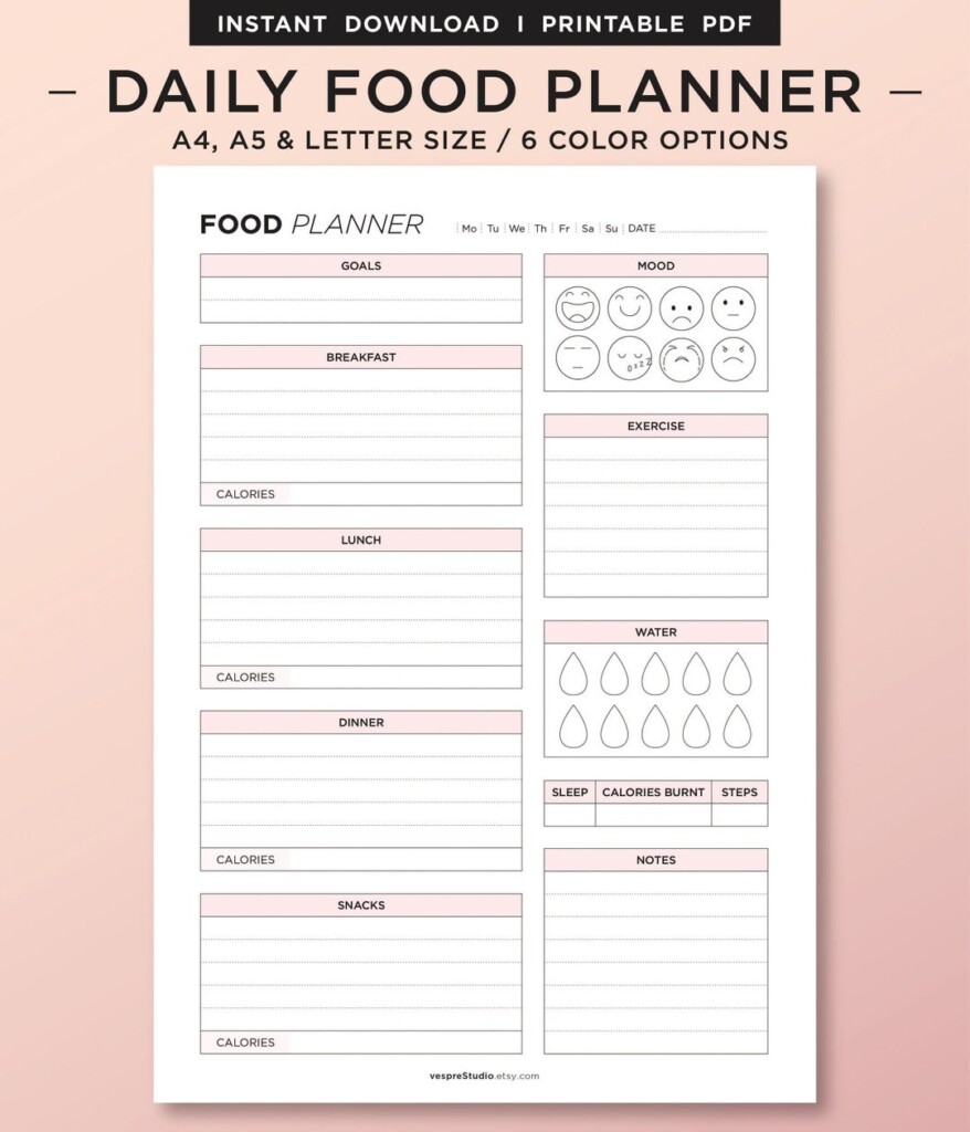 Daily Food Planner Printable Daily Food Journal Daily Food Diary 