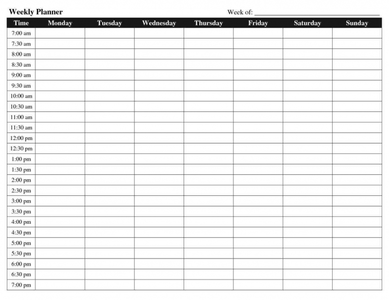 Hour By Hour Weekly Planner Printable Pdf