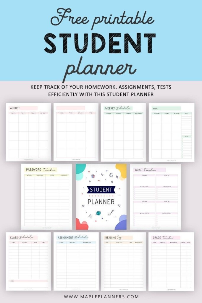 Paper Party Supplies Academic Planner College University Student 