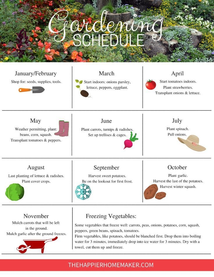 Printable Garden Planner Template Fitywall